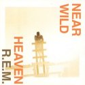 Near Wild Heaven
