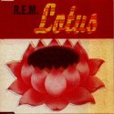 Lotus